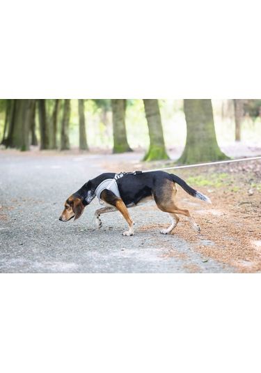 Beeztees Köpek Göğüs Tasması, Neopren,gri, M, 41-46cm Çok Renkli