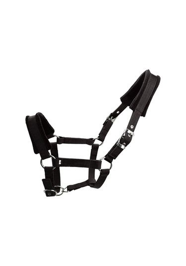 Suntek Kalınlaşmak Midilli At Boyundan Bağlamalı Baş Yaka At Çok Renkli