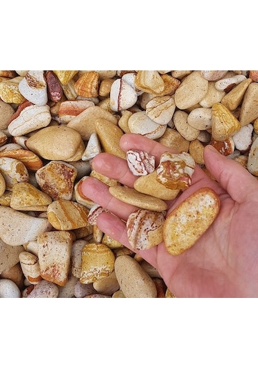 Sarı Çizgili Dolomit Taş 5 Kg 2-4 Cm Renkli Dere Taşı Çakıl Taşı