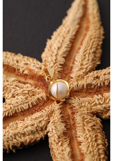 14 Ayar Altın Incili Kafesli El Işi Kolye Ucu