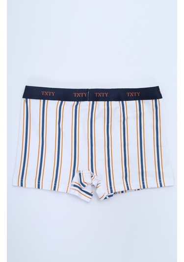 Toontoy Erkek Çocuk Çizgili Desenli Baskılı 4lü Paket Boxer Çok Renkli