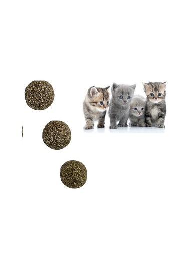 Catnip Topu - Kedi Nanesi Topu 3 Adet 2.5 cm