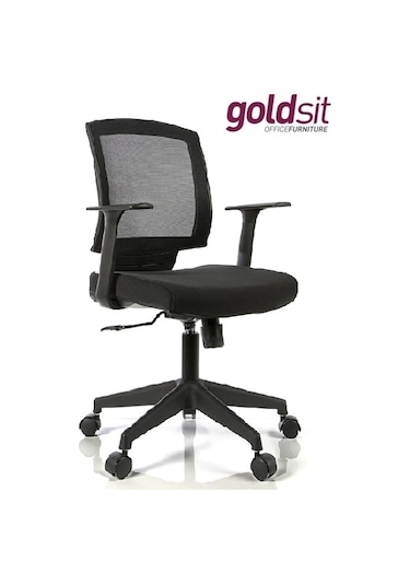 Dekofis Goldsit Reks One 100 Çalışma Koltuğu