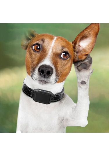 Homyl Köpek Durdurma Kabuğu Tasması Eğitmeni Eğitim Cihazı