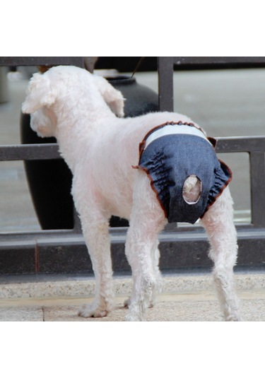 Anti-üzüntü Dişi Köpek Fizyolojik Pantolon İdrar Geçirmez Ve Islak Pet Sızdırmaz İç Çamaşırı, Boyut: L