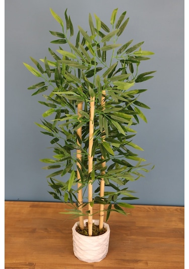 Bambu Ağacı 110 Cm 3 Gövdeli