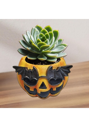 Suntek Kabak Saksı Hediye Dekorasyon Süsler Ev Mutfak Stil-a