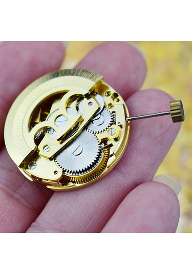 Xurunkeji Altın İskelet 2004 Hareketi Sıradan Sarkaç Ayarı Radyasyon Desenli Tam Otomatik Saat Hareketi Altın