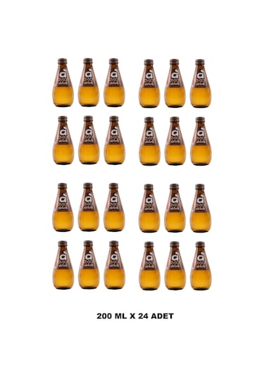 Avşar Sirkeli Maden Suyu 200 Ml X 24 Adet