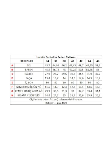 Balins 5 Cepli Hamile Pantolon Siyah -2ja/0029