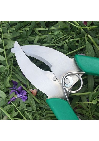 Sones Meyve Ağacı Kesme Makası Fide Soyma Makası Bahçe Dikim Dal Kabuğu Kesici Yeşil