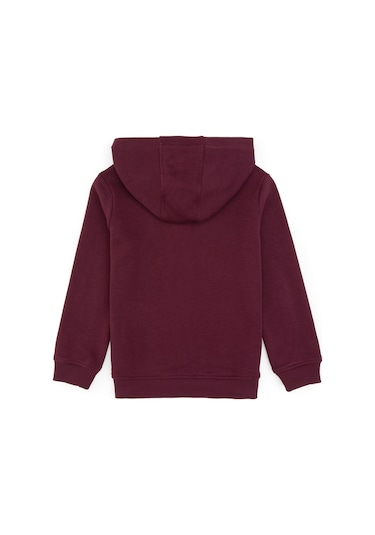 U.s. Polo Assn. Erkek Çocuk Plum Hırka Örme 50313844-vr177 New Plum