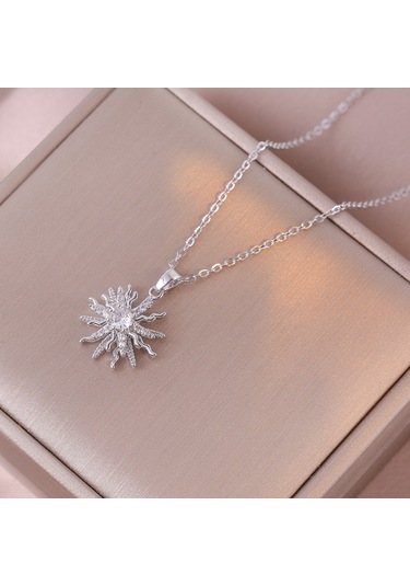 Bayan Kolye: Moda Estetiği Titanyum Çelik Kolye No.295 Çok REnkli