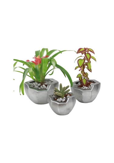 Saksı Çiçek Kaktüs Saksısı Lüx 15 Cm Önü Açık Desenli 3'lü Set Çiçeklik - Gümüş Eskitme
