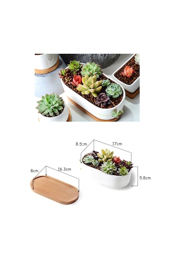 Jeehugo Beyaz Seramik Oval Sukulent Ve Kaktüs Saksısı, Bambü Tabaklı, Ev Ofis Masaüstü İçin, 2'li Set Saksı + Tabak , Bitki Yok
