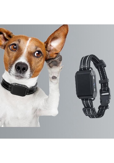 Homyl Köpek Durdurma Kabuğu Tasması Eğitmeni Eğitim Cihazı