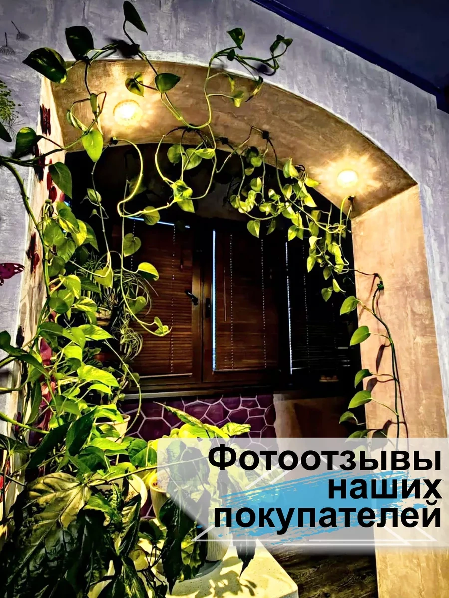 Greduha Bitki Destekleyici Duvara Montaj İçin 10'lu Klips Seti 155968241