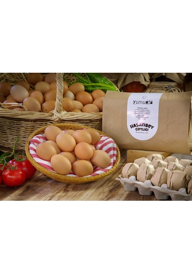 Hasanbey Çiftliği Doğal Köy Yumurtası 15 Adet