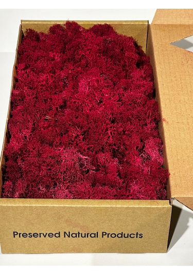 Reindermoss Şoklanmış Norveç Yosunu Terarium Yosunu Fushia 5 Kg.