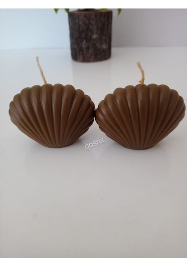 2'li Kahverengi Mini İstiridye Deniz Kabuğu 1. Kalite Doğal Mum