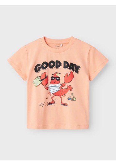 Name It Nmmfish Nreg Ss Top Box Unisex Çocuk T-shirt 13241295 Somon