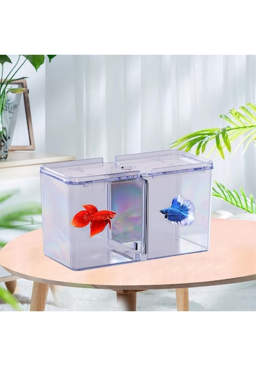 Suntek Balık Yetiştirme Kutusu Tank Kuluçkahane Kuluçka