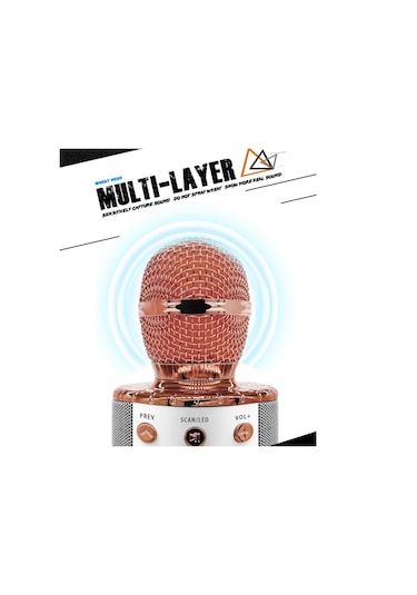 Mufunye Mavi Karaoke Bluetooth Mikrofon,