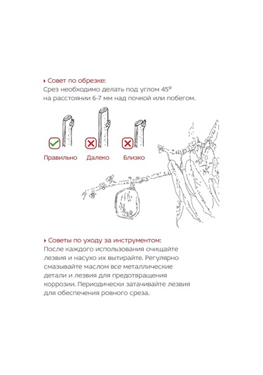 Frut Club Öküzgözü Zımba Makası 314707182