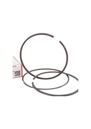 Federal Segman A0020303624 190,200,250,300.d