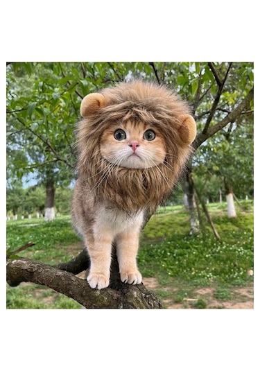 Traje Den Kedi Kostümü Aslan Yelesi