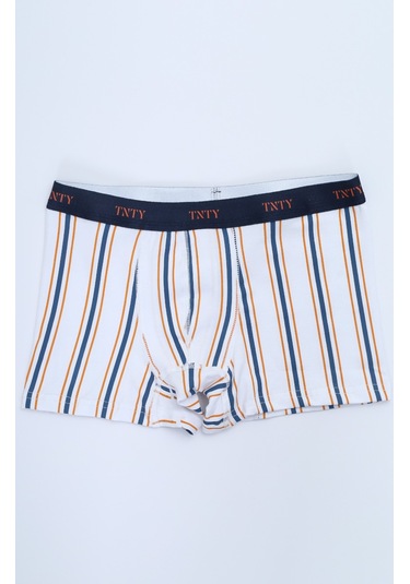 Toontoy Erkek Çocuk Çizgili Desenli Baskılı 4lü Paket Boxer Çok Renkli