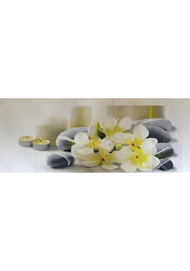 Pnt 01 - Dijital 5 Li Set
