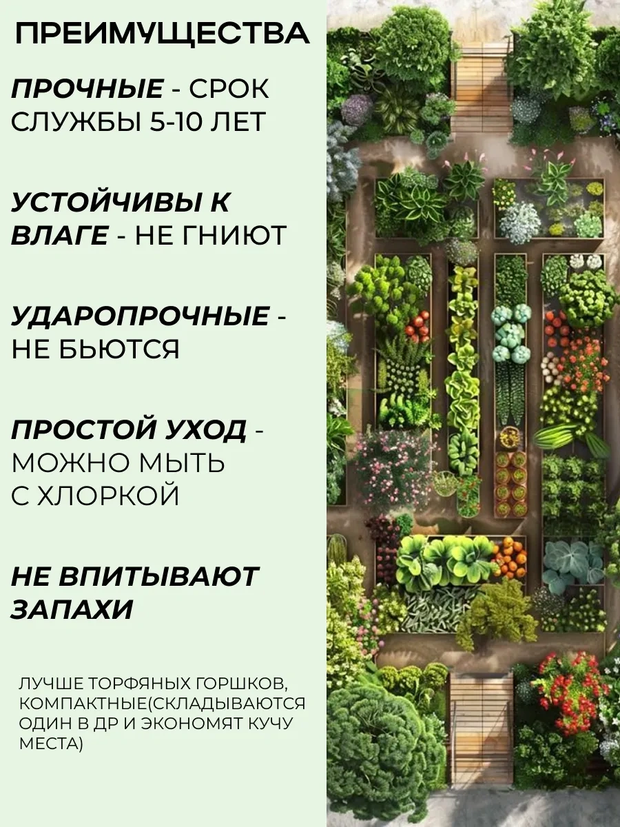 Sadovita Fide Kutusu Dar 431563700