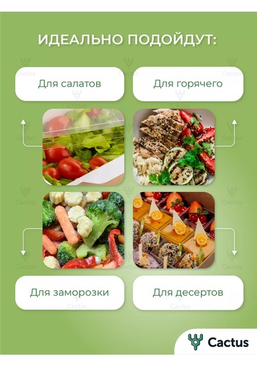 Cactus Tek Kullanımlık Trigloff Kutu, 1000 Ml Yemek Kapları 224868225 100 adet