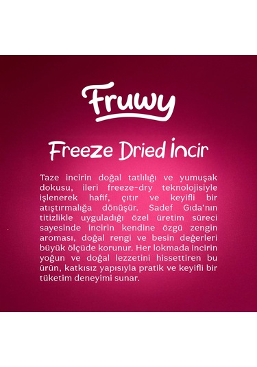 Freeze Dried İncir Diğer