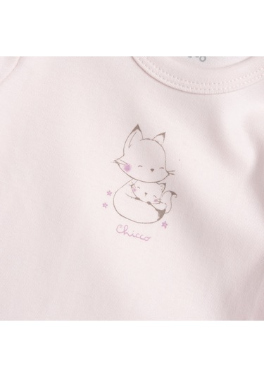 Chicco Body 2'lı - U.kol 09100258000000 000011 Lıght Pınk