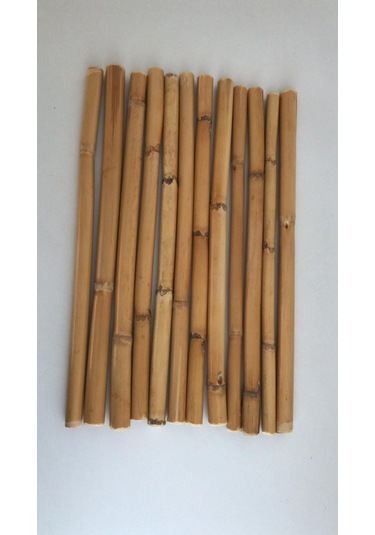 Bambu 30 Cm 12 Li Paket 01