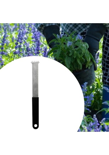 Pazly Tuğla Taşı Suntek Profesyonel Dış Mekan Çekici Parke Bloğu