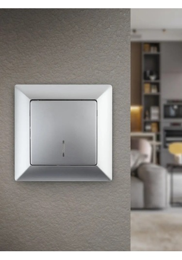 Intro Aydınlatmalı Tek Tuşlu Anahtar Solo 10a 250v 124039884