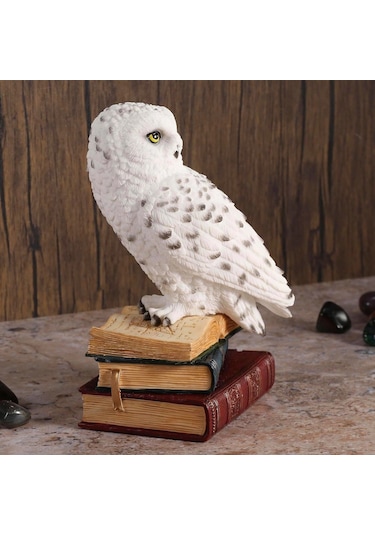 Kitap Üzerinde Beyaz Kar Baykuşu Hedwig Biblosu - Harry Potter