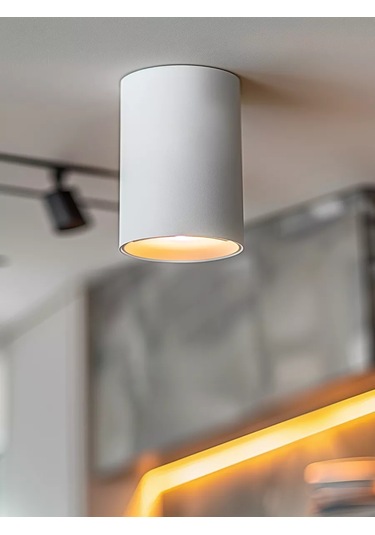 Profitec Lighting Tavan Spot Lambası 170542835 Beyaz