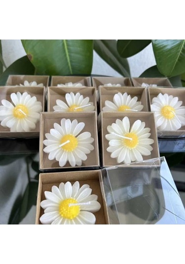 Bernamiofficial Offcial 24 Adet Papatya Mum Hediyelik Nişan, Nikah, Söz, Doğumgünü, Doğum