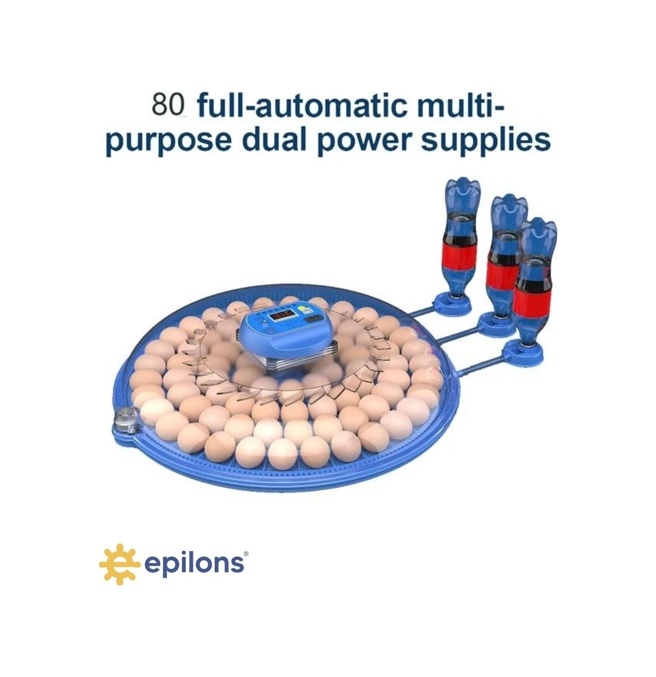 80/240 Kapasiteli Çift Viyollü Kuluçka Makinesi Kaz Ördek Tavuk Bıldırcın Kuşlar İçin