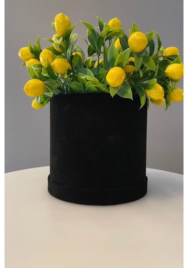 Kadife Silindir Kutuda Yapay Limon Ağacı Siyah-sarı