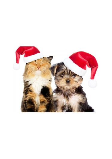 Max Orta Irk Köpeklere Uygun Noel Şapkası