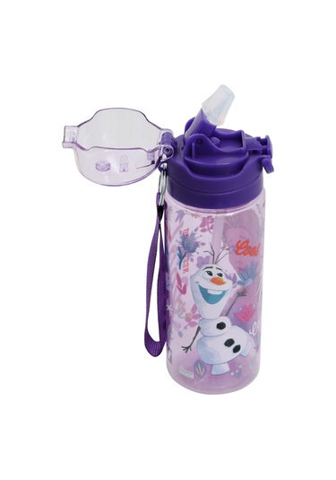 Frozen Frz Mtr Otto.45484 5pr Mor Kız Çocuk Matara 000000000102054260 Mor