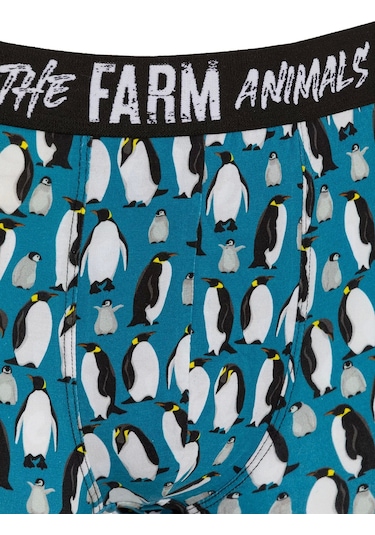 Farm Animals Penguins Desenli Boxer