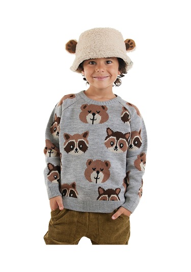 Denokids Ayı Rakun Erkek Çocuk Gri Triko Kazak Renkli