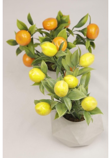 Yapay Bitki Geometrik Beton Saksıda Dekoratif Limon Ve Portakal Ağacı Tanzimi Turuncu-sarı-beyaz