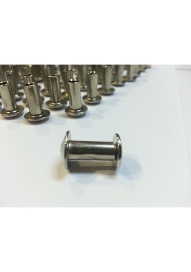 1 CM DOSYA VİDASI 100 ADET NİKEL İNOX RENK